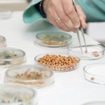 Corso di Aggiornamento Base Alimentaristi – HACCP