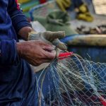 Corso RSPP-ASPP Modulo B-SP1 Agricoltura e Pesca
