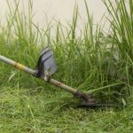 Addestramento attrezzature di lavoro: decespugliatore