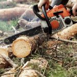Addestramento attrezzature di lavoro: motosega